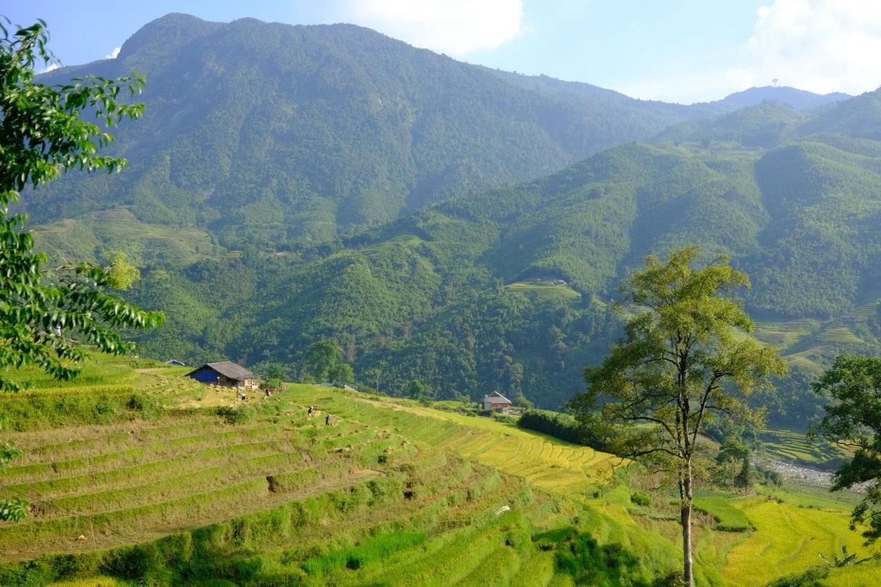 Sapa Hmong Bungalow Homestay Exterior foto