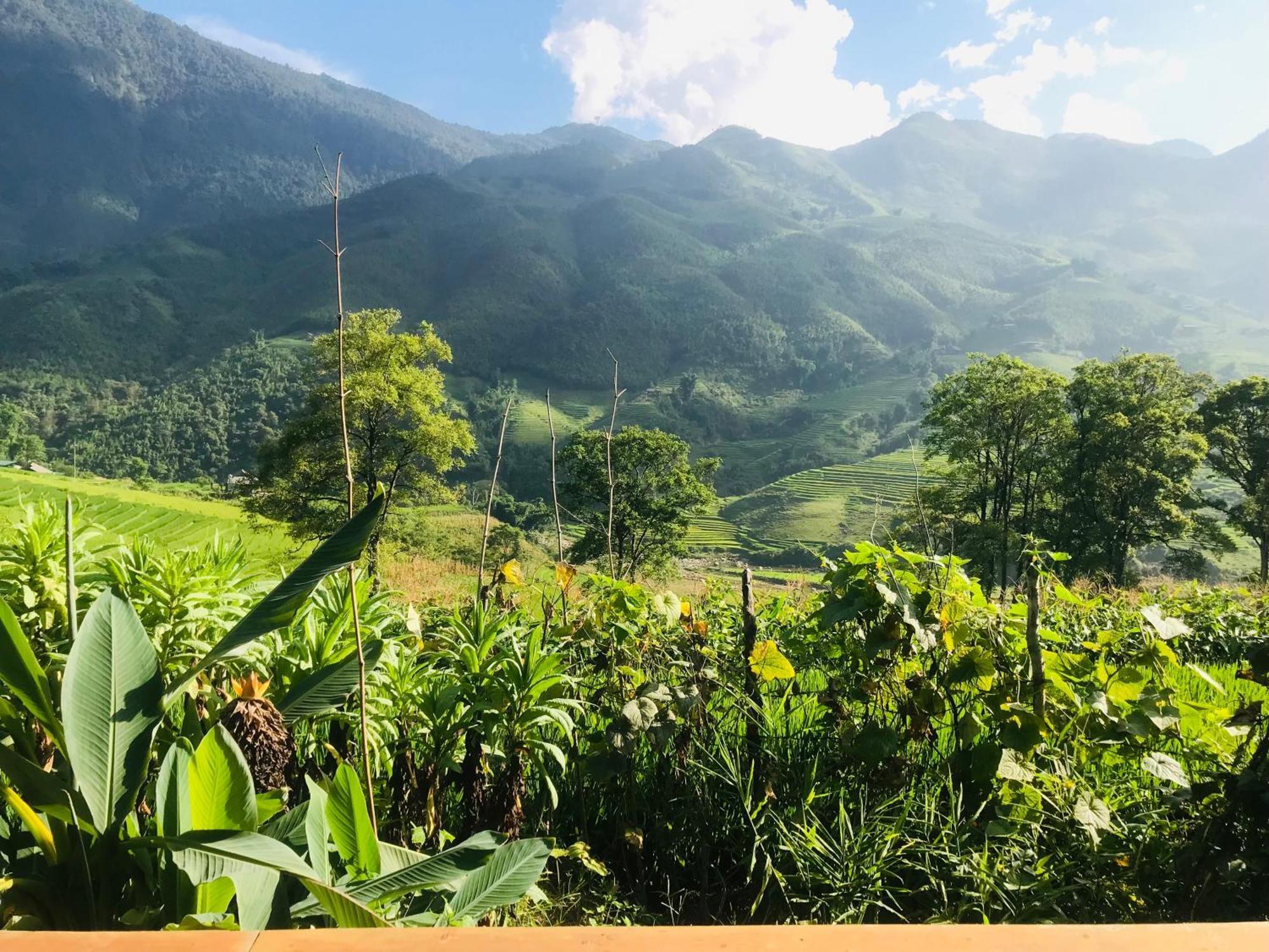Sapa Hmong Bungalow Homestay Zimmer foto